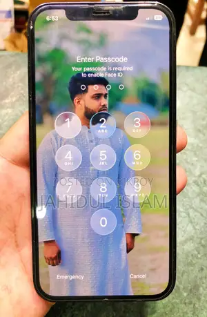 Apple iPhone 12 Pro (Used)