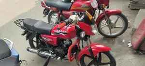 Zaara 80 cc 2022