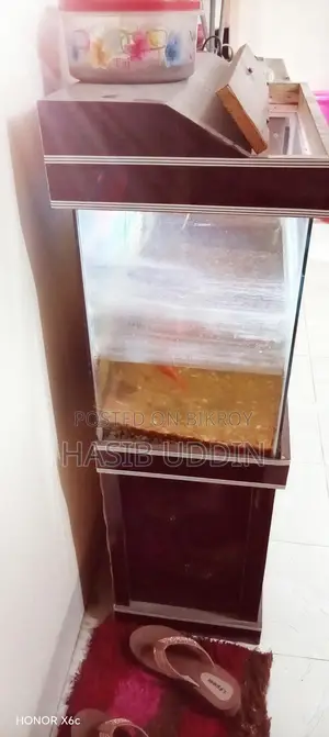 Aquarium for sale with 4 fish and stand
