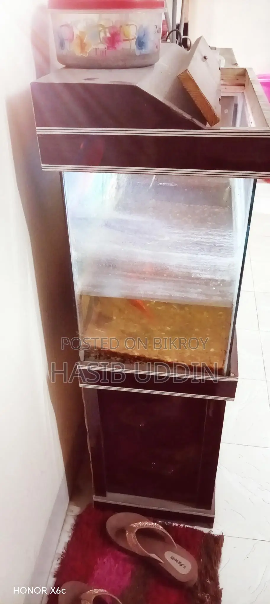 Aquarium for sale with 4 fish and stand