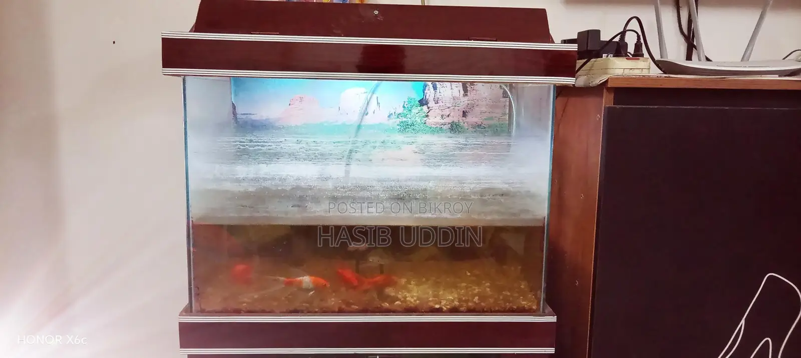 Aquarium for sale with 4 fish and stand
