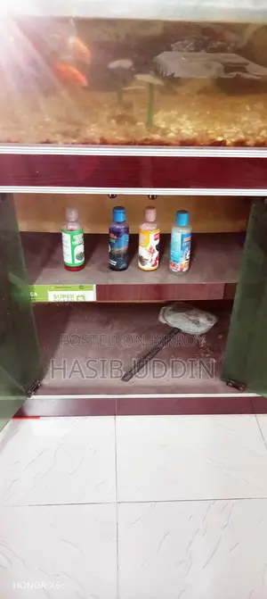 Aquarium for sale with 4 fish and stand