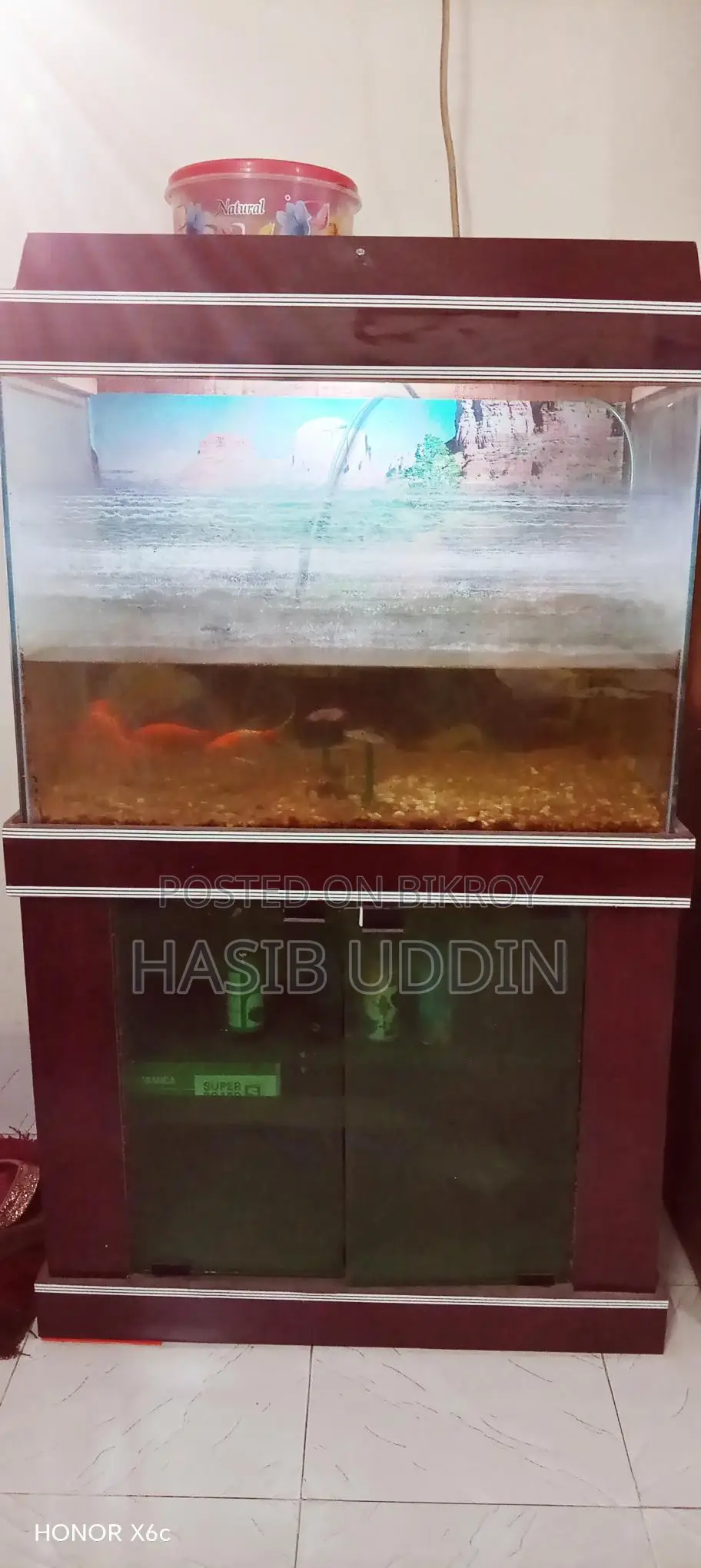 Aquarium for sale with 4 fish and stand
