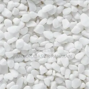 Aquarium Or Garden Stone