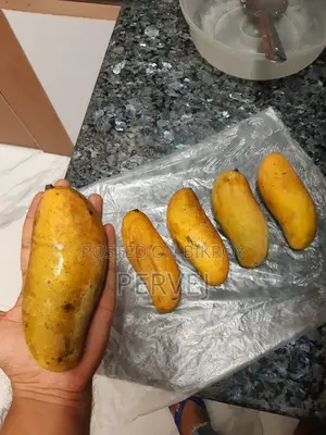 ব্যানানা ম্যাঙ্গো গাছ বিক্রয়