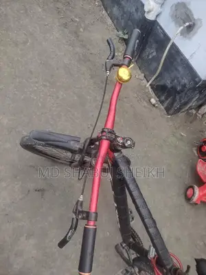Bicycle Sale
