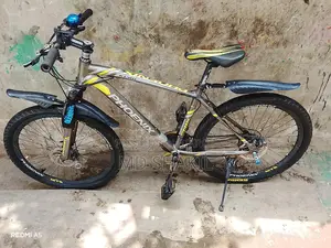 Bicycle in Beautiful Condition
