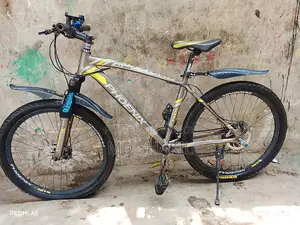 Bicycle in Beautiful Condition