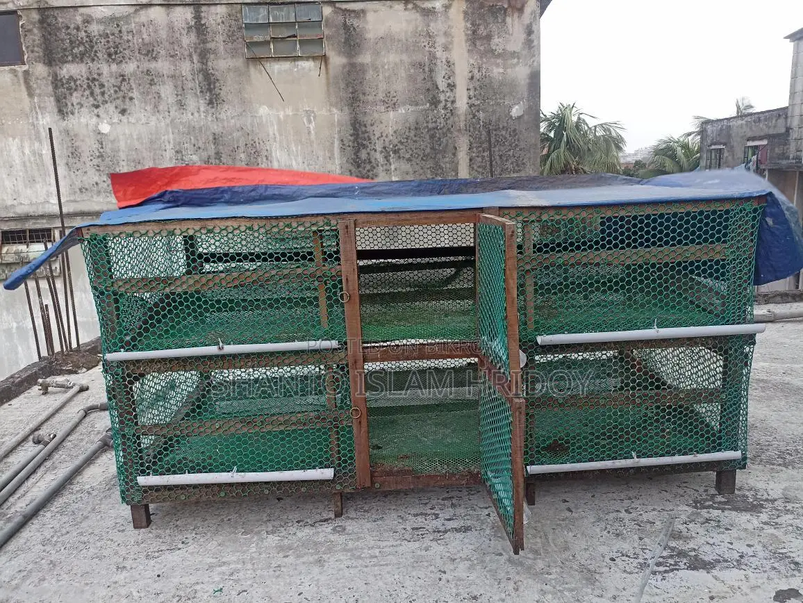 Bird Cage