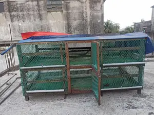 পাখির খাঁচা