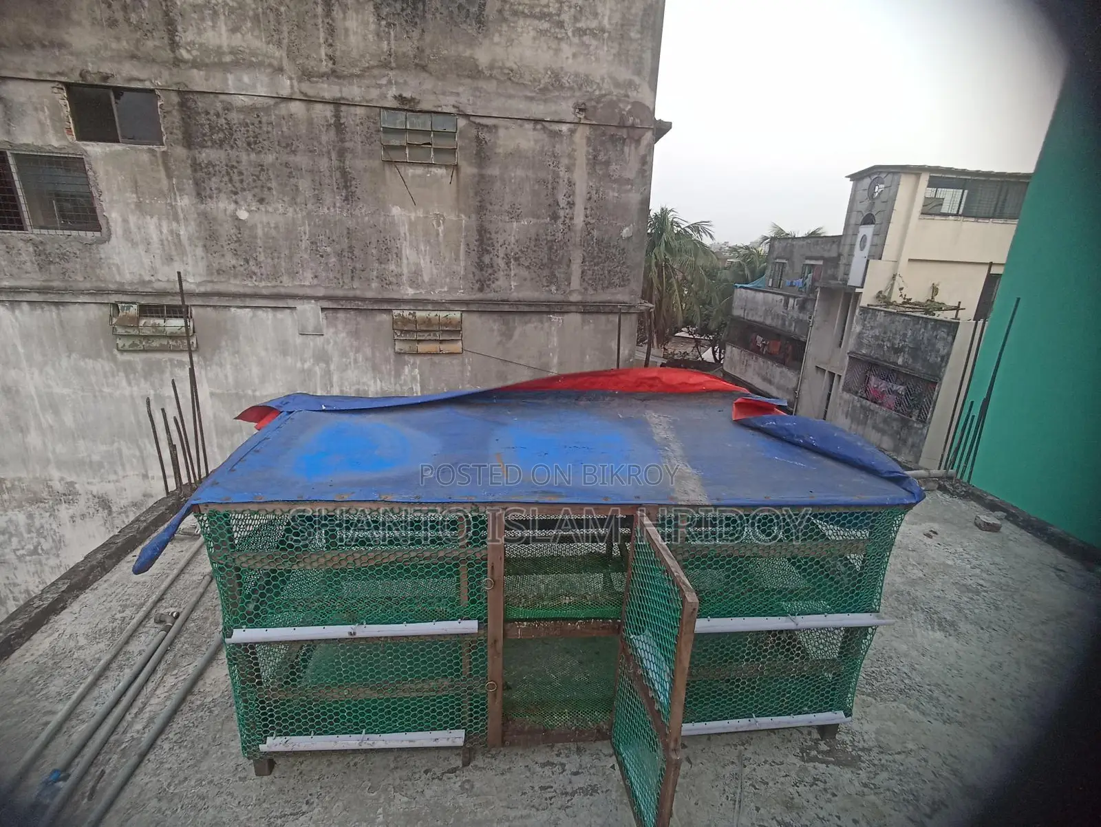 Bird Cage