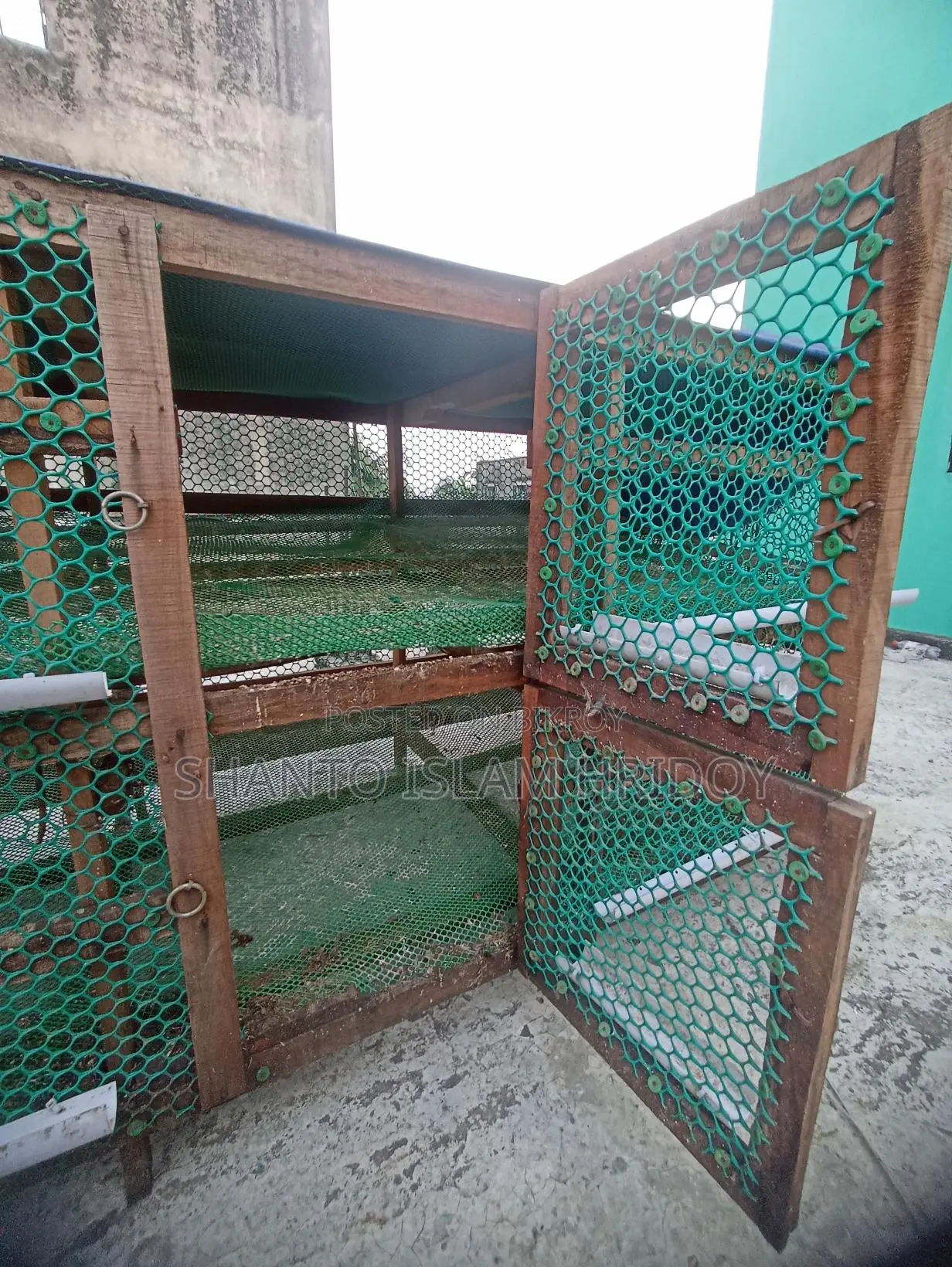 Bird Cage
