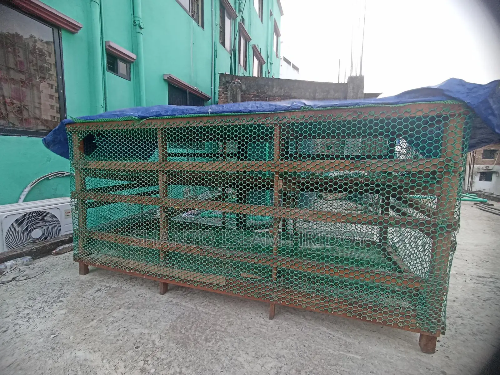 Bird Cage