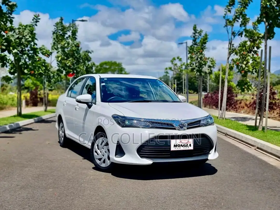 Toyota Axio Ex 2021