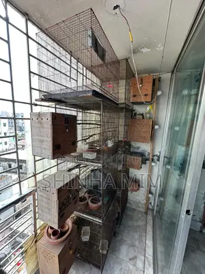 Bird Cage, Breeding Box, Sun Conure Breeding Box