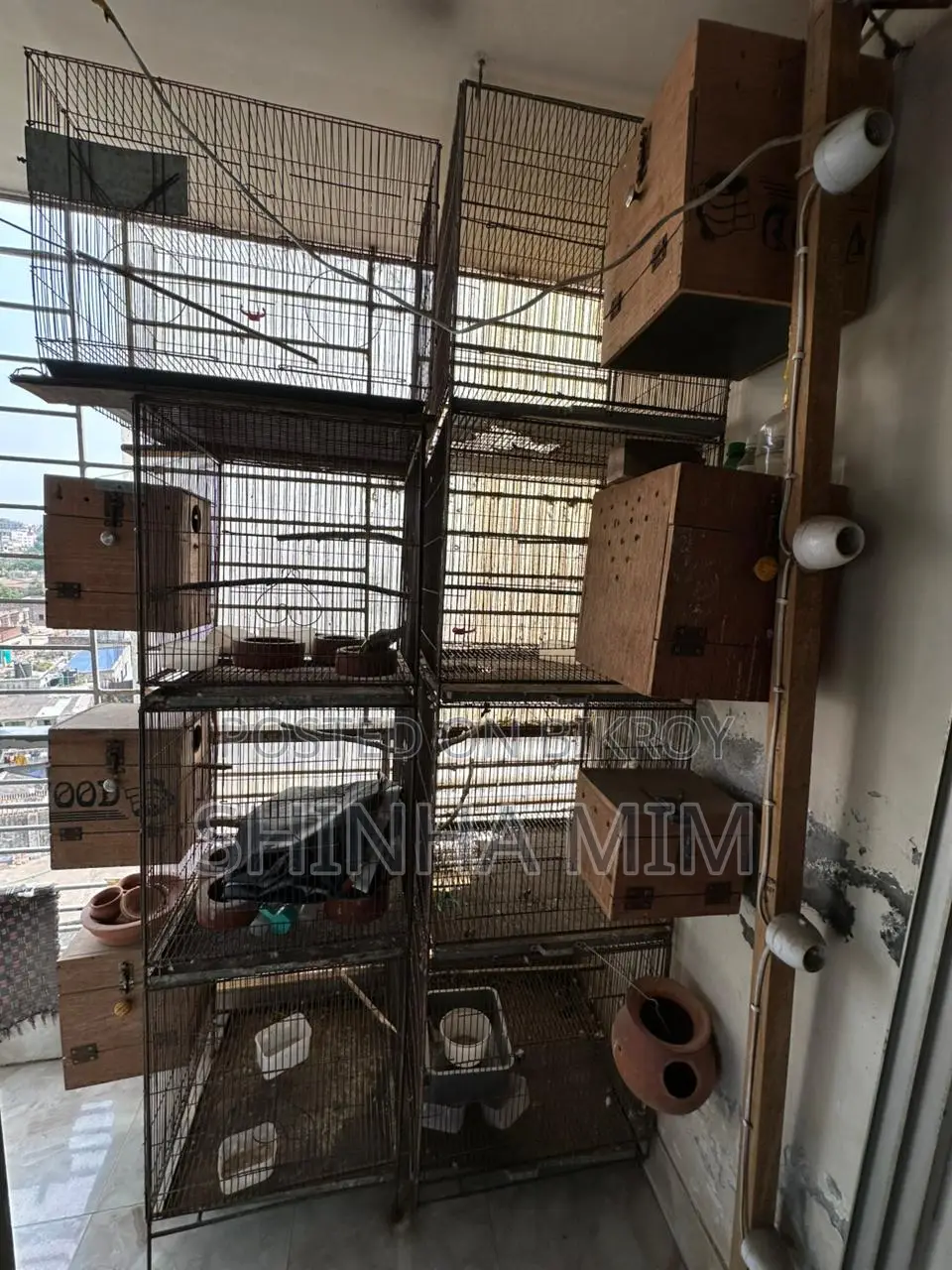 Bird Cage, Breeding Box, Sun Conure Breeding Box
