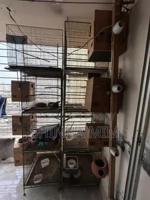 Bird Cage, Breeding Box, Sun Conure Breeding Box
