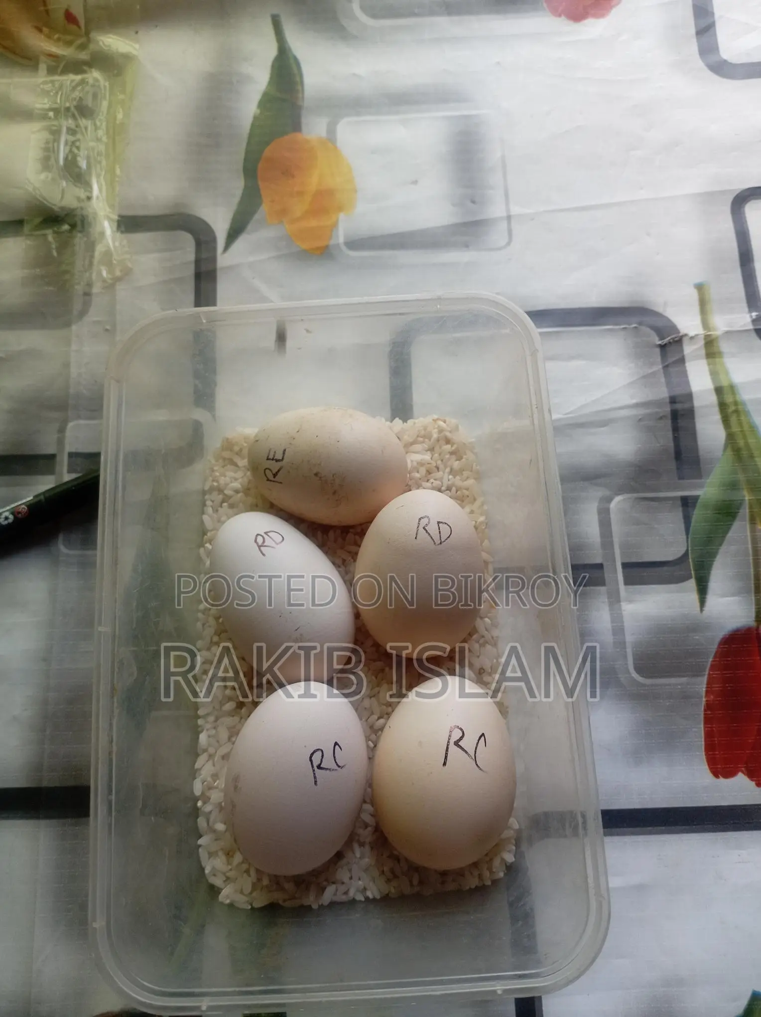 আসিল মুরগির বীজ ডিম