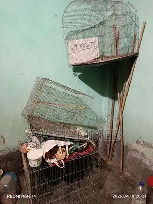 পুরাতন পাখির খাঁচা