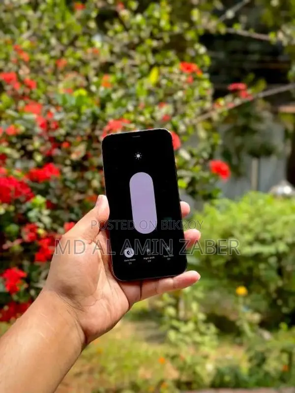 Apple iPhone 12 Pro (Used)