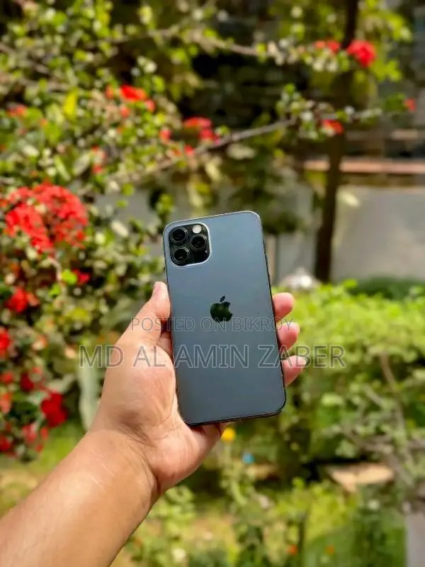 Apple iPhone 12 Pro (Used)