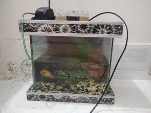 Aquarium for sale