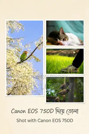 Canon Eso 750d with 55mm-250mm Stm Zoom Lens