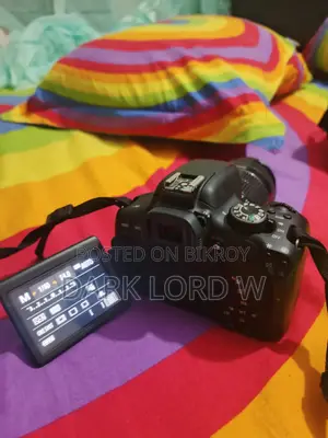 Canon EOS 750D with 55mm-250mm STM Zoom Lens