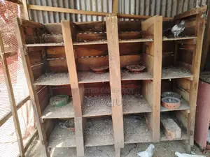 কবুতরের খোপ