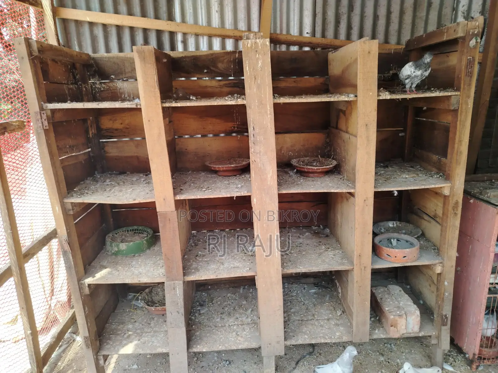 কবুতরের খোপ