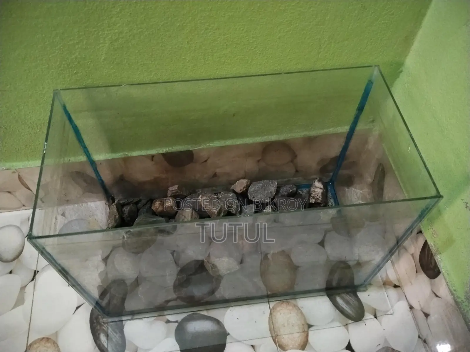 Two Aquariums