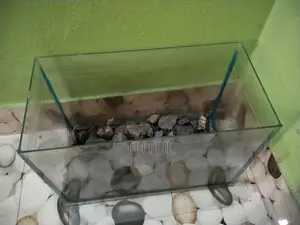 Two Aquariums