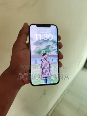 Apple iPhone 12 (Used)