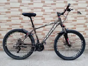 Aluminium Body Gear Cycle