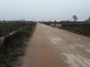 M-Block 4000 Serial 4-Katha Plot Sale Near 300'road