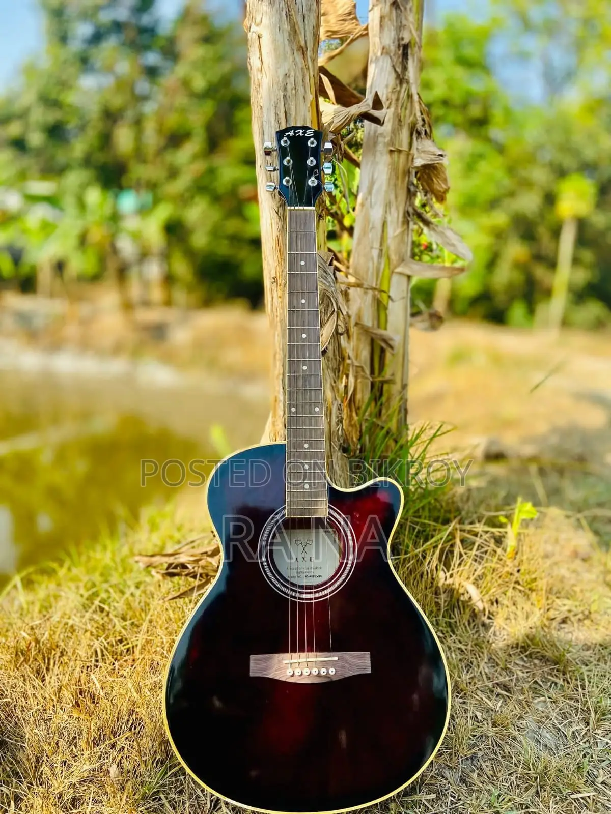 Guitar for Sale
