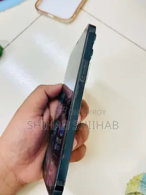 Apple iPhone 12 Pro Max (Used)