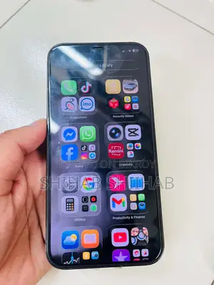 Apple iPhone 12 Pro Max (Used)