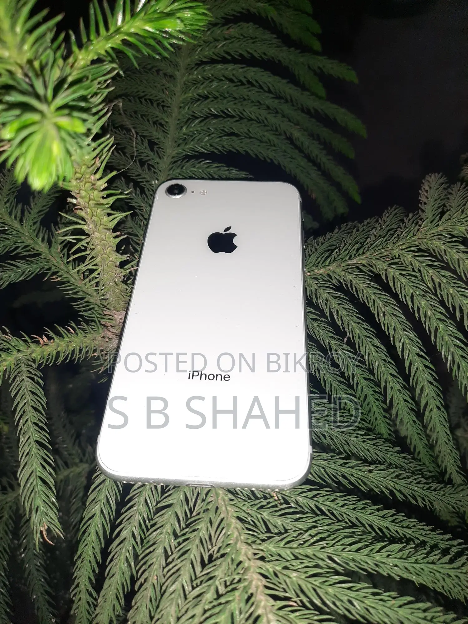 Apple iPhone 8 (Used)
