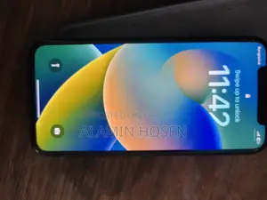Apple iPhone X (Used)