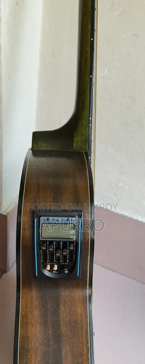 Acoustic Guitar