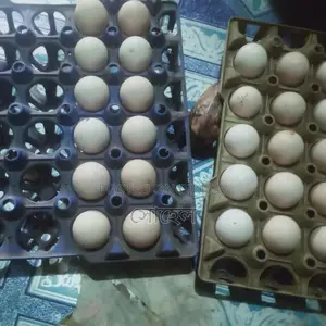 দেশি মুরগির ডিম, বীজ ডিম