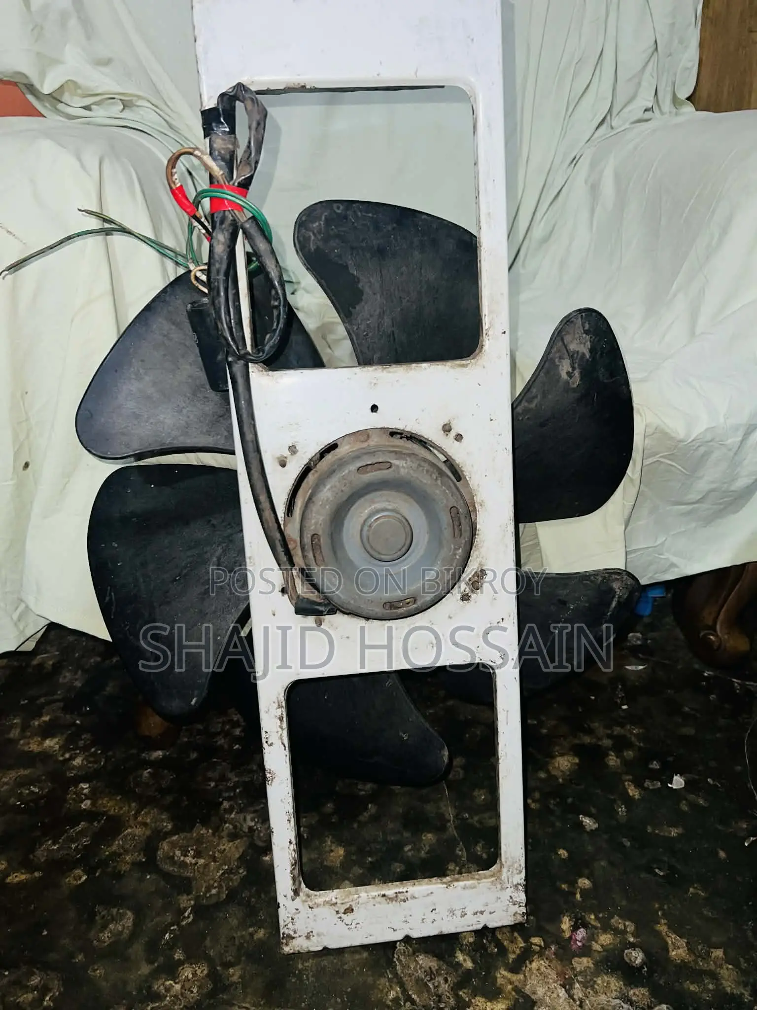 একজাস্ট ফ্যান