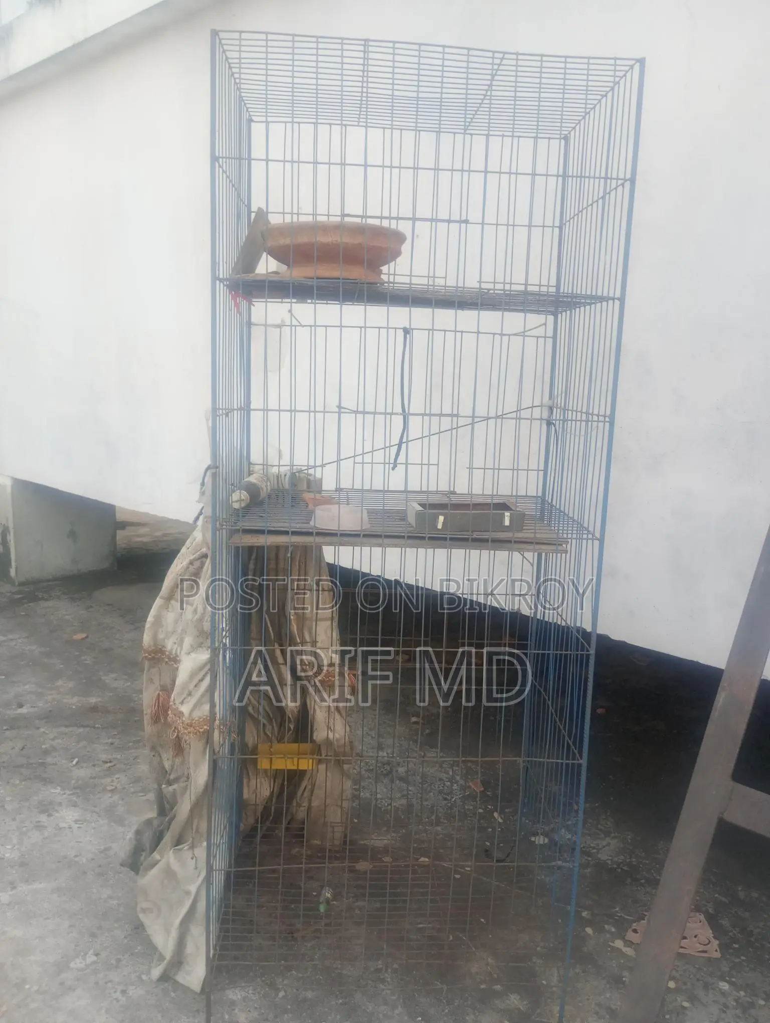 Chicken and Bird Cage