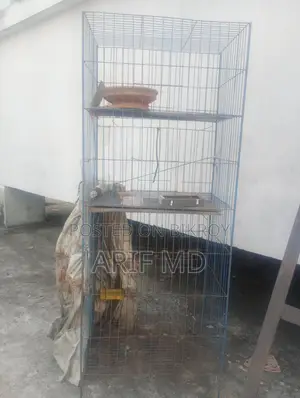 Chicken and Bird Cage