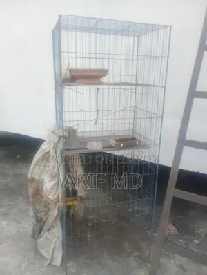 Chicken and Bird Cage