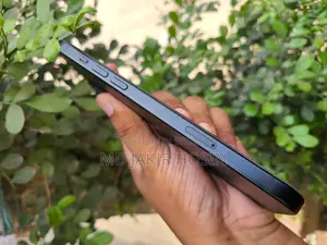 Apple iPhone 15 Plus (Used)