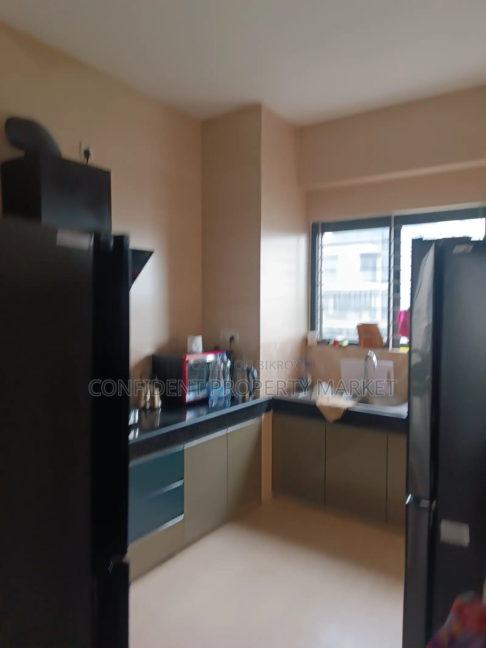 Fully Furnished Exclusive Flat For Rent In Baridhara