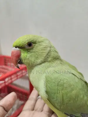 Want to sell