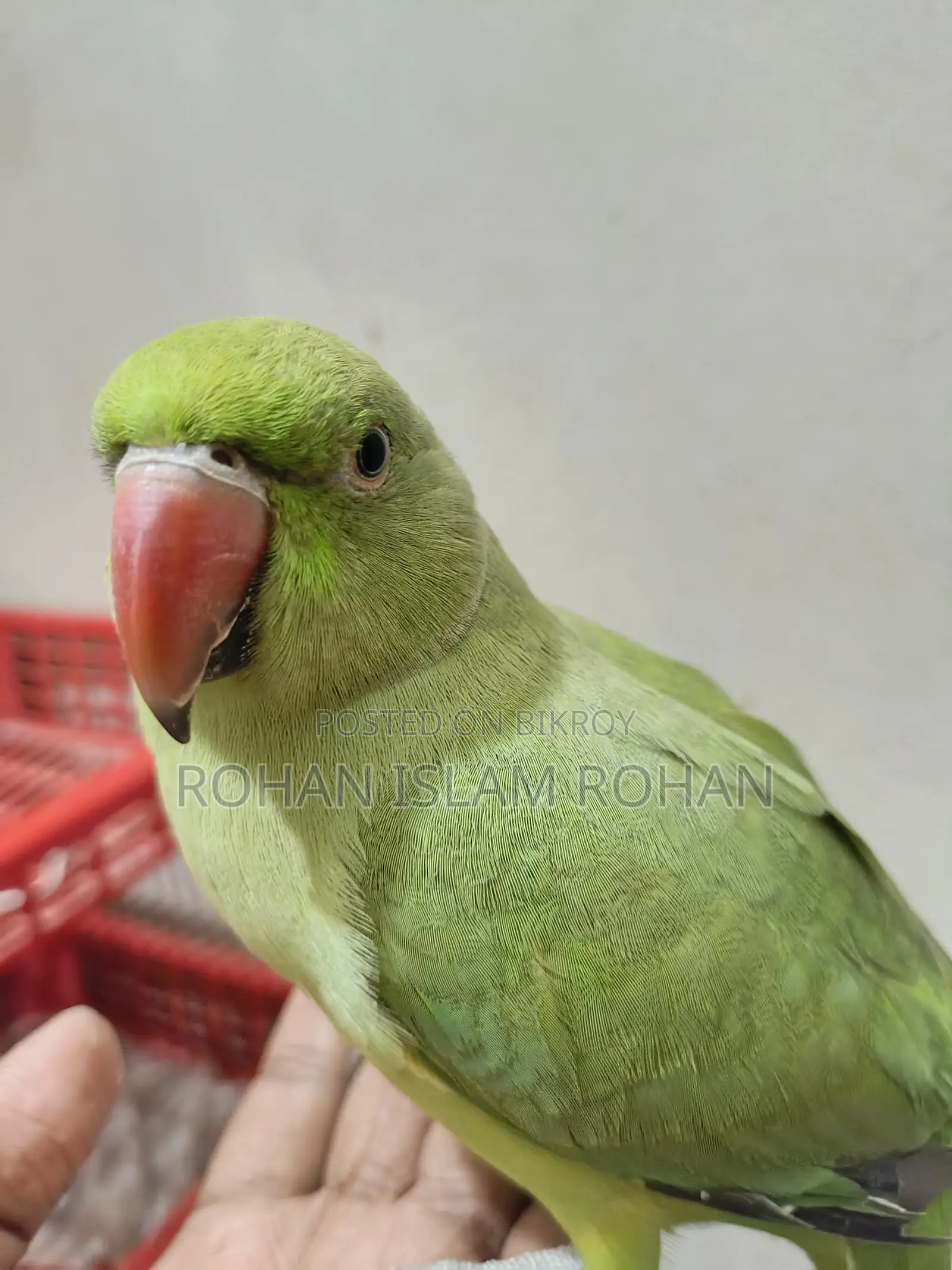 Want to sell